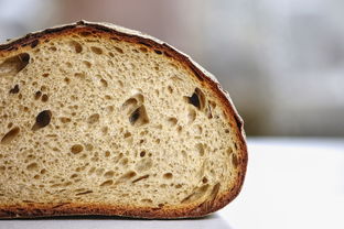 孕期吃海参几个月开始吃最好一周吃几个